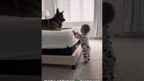 An influencer just violated family boundaries by filming at a birthday party despite a no filming