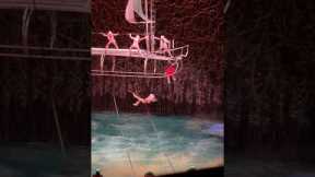 Best Show in Vegas! #cirquedusoleil #vegas #shows