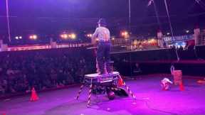 Circus Circus Las Vegas the Boozier Free Ladderman Performance #circuscircus #lasvegas