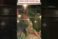Rihanna Responds To Viral Car