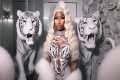 Nicki Minaj - Fearless And Famous