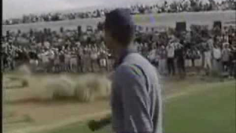 Tiger Woods   Signature Shots.wmv